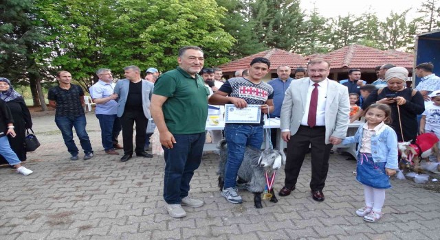 Emette oğlaklar podyuma çıktı
