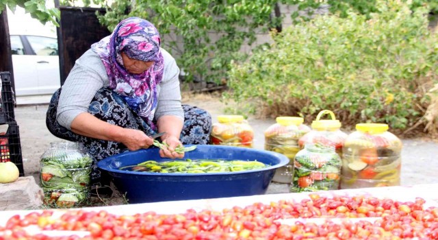 Erzincanda kadınların turşu mesaisi başladı