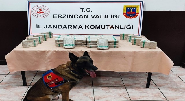 Erzincanda tır içerisinde 25 kilo 720 gram eroin ele geçirildi