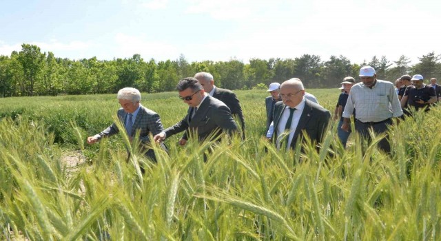 Erzurumda 3 bin 800 svat törenle çiftçilere dağıtıldı