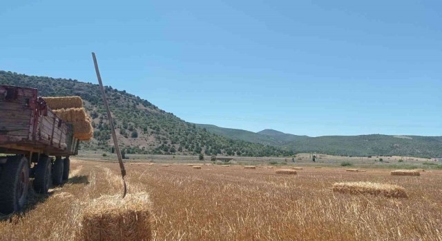 Eskişehirde saman balyası mesaisi başladı