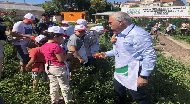 Fatihte Çocuk Hasat Bayramı yapıldı