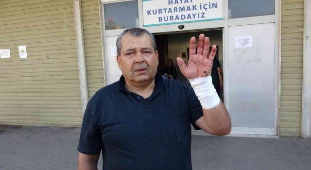 Gaziantepte acemi kasaplar hastanelik oldu