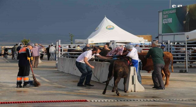 Gölbaşı Kurban Satış ve Kesim Tesisinde vatandaşlara belediyeden yemek ikramı