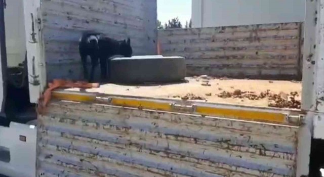 Hatayda 41 kilo metamfetamin ile 6,4 kilo eroin ele geçirildi