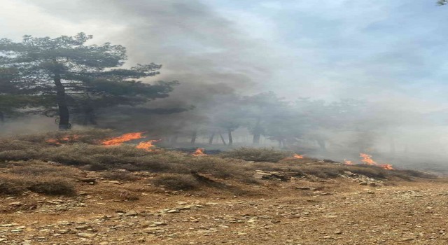 Hatayda orman yangını