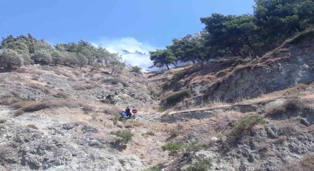 Hatayda orman yangını