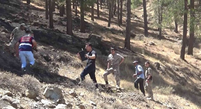 Hataydaki orman yangınıyla ilgili 1 şüpheli gözaltına alındı