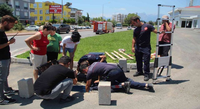 Hayanseverler ve itfaiyecilerden 40 derece sıcakta kedi kurtarma seferberliği