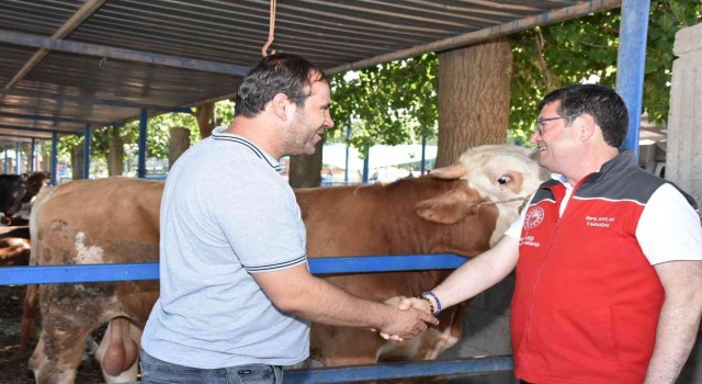 Hayvan satış ve kesim yerleri bayrama hazır