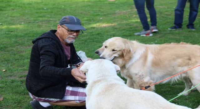 Hayvanlara şiddete karşı farkındalık oluşturmak için ‘Pati Şenliğinde buluştular