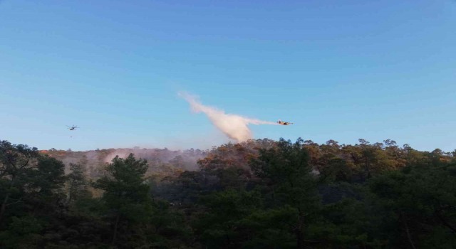 Helikopterlerin sortileri, uçakların müdahalesi yangının büyümesini engelledi