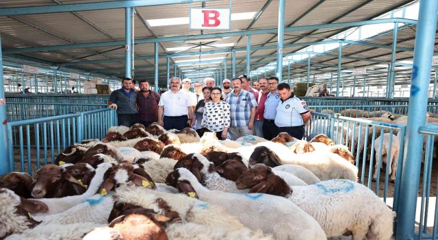 Hibe desteği 200 üreticinin yüzünü güldürdü