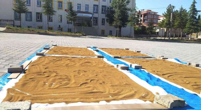 Hisarcıkta şifa deposu haşhaş tohumları yıkanıp güneşte kurutuluyor