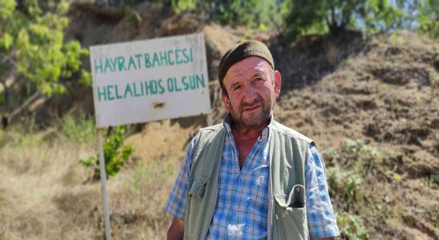 İbrahim dedenin hayrat bahçesinden meyve koparmak serbest