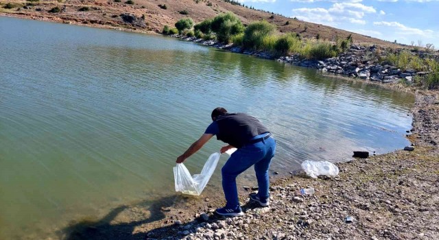 İhsaniyede baraj ve göletlere 25 bin yavru balık bırakıldı