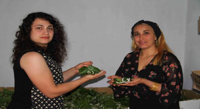 İki kadın arkadaş sırt sırta verdi ipek böcekçiliğine başladı, 45 günde 34 bin lira kazanacaklar