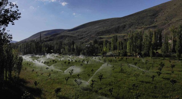 İlçe Tarım Müdürlüğünden “Gece sulaması” uyarısı