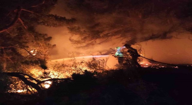 İspanyadaki orman yangınında alevlerden koşarak kurtuldu