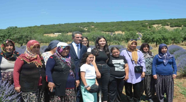 Isparta lavanta festivaline hazırlanıyor