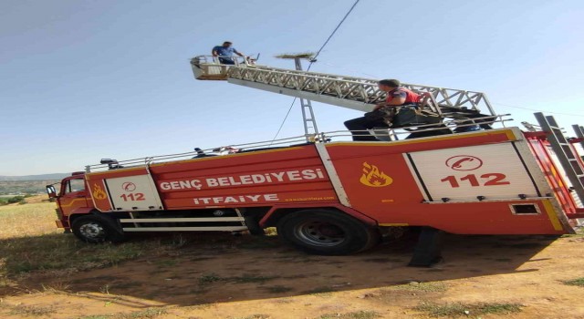 İtfaiye ekipleri yuvası bozulan leyleğe yuva yaptı