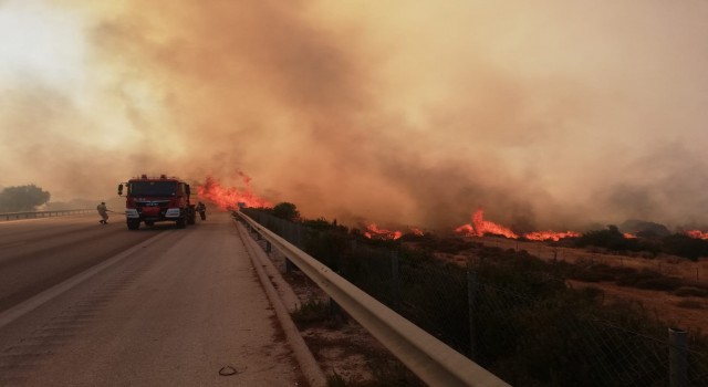 İzmir-Çeşme otoyolu yangın nedeniyle trafiğe kapandı