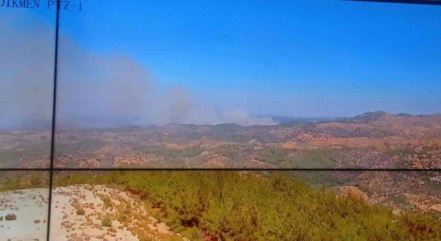 İzmir Seferihisarda orman yangını