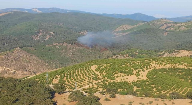 İzmirde Bergama ve Dikilide yangın