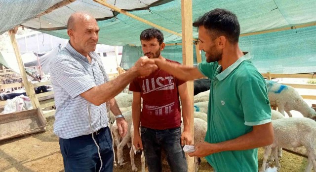 İzmirde kurbanlık fiyatları bayram günü düştü