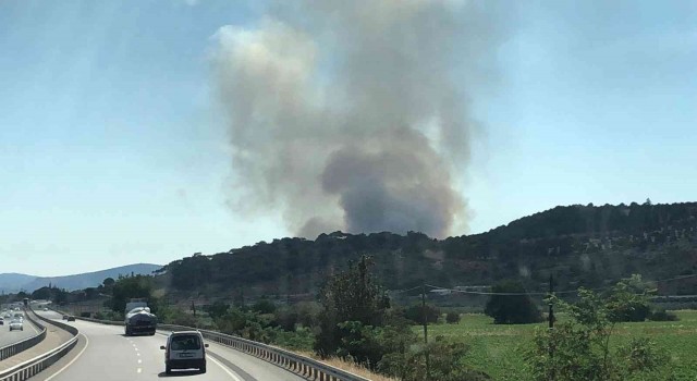 İzmirde otluk alanda yangın