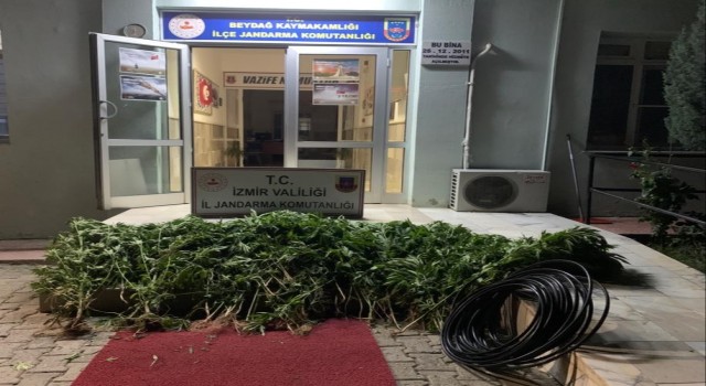 İzmirde uyuşturucu operasyonları: 23 şüpheli yakalandı