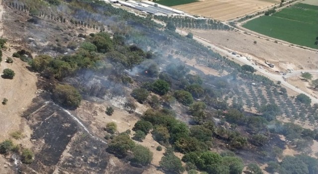 İzmirde ziraat arazisindeki yangına havadan ve karadan müdahale