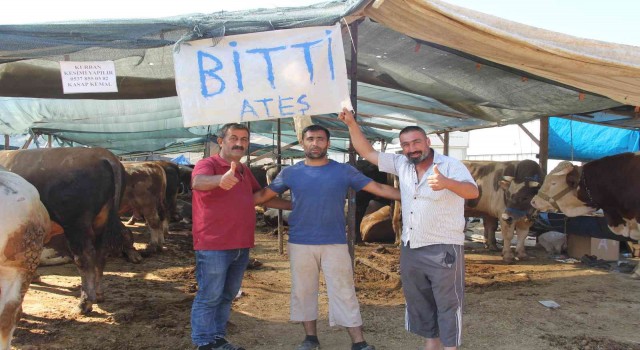 İzmirdeki kurban pazarlarında hayvanların büyük çoğunluğu satıldı