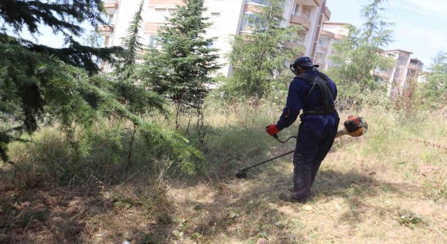 İzmit Belediyesinden Alikahyada tırpan mesaisi