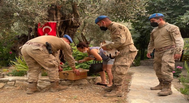 Jandarma ekipleri Datçadaki orman yangını için topyekün seferber oldu