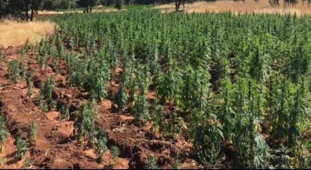 Jandarma uyuşturucuya geçit vermiyor