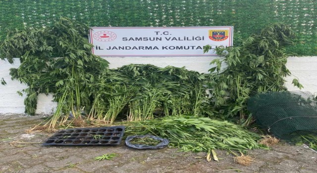 Jandarmadan uyuşturucu operasyonu: 2 gözaltı