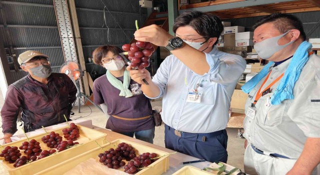 Japonyada özel üretim salkım üzüm, 10 bin 800 dolara satıldı