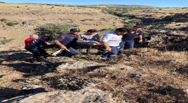 Kaçan keçiyi yakalamak isteyen kayalılardan yuvarlandı
