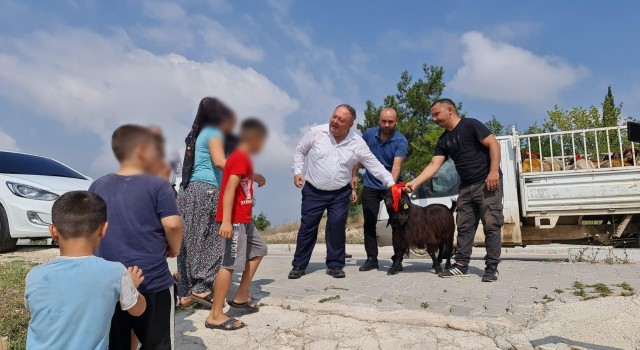 Kadirlide ihtiyaç sahibi ailelere kurbanlık dağıtıldı