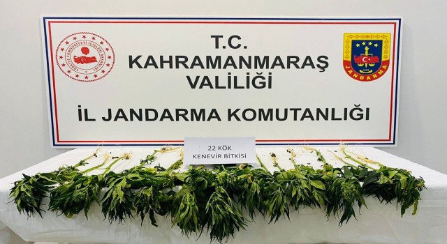 Kahramanmaraşta uyuşturucu operasyonu