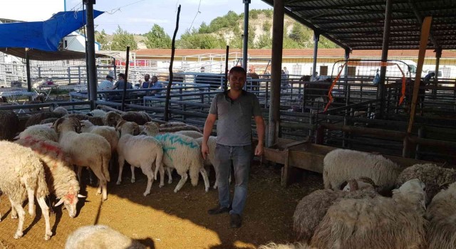 Karabükte arefe günü kurbanlık satışları arttı