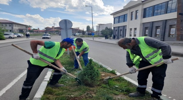 Karsta belediye park ve bahçelere fidan dikiyor