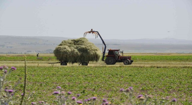 Karsta çiftçilerin ot biçme mesaisi başladı