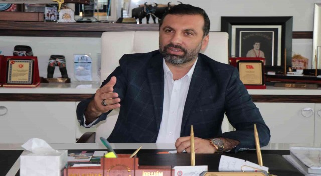 Kavakta şenlik heyecanı