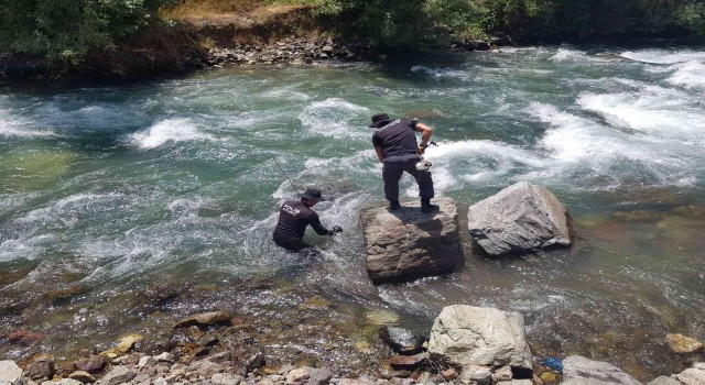 Kayıp hemşire Güneşi arama çalışmaları 35inci gününde