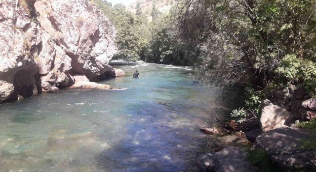 Kayıp hemşireyi arama çalışmaları 45inci gününde devam ediyor