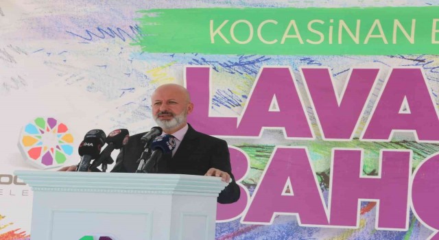 Kayseri, lavanta bahçesine dönüşüyor