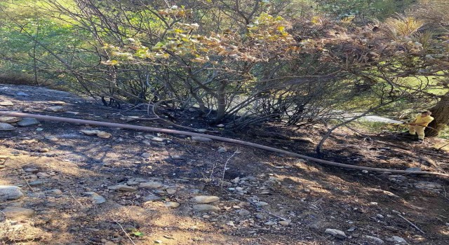 Kazdağları eteklerinde iki ayrı zeytinlik alanda çıkan yangın, ormana sıçramadan söndürüldü