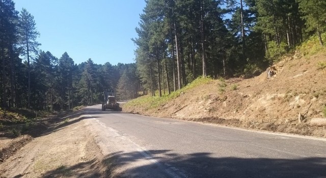Kazdağlarının ortasından geçen kara yolunda yangın şeridi oluşturuldu